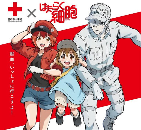 央视再次敞开大门，日本动漫引来新契机