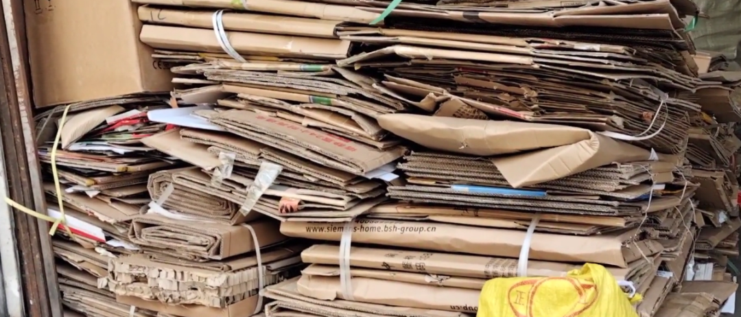 海归硕士辞职“拾荒”月入达5万！你看不上的职业原来这么暴利