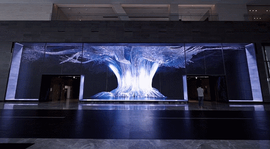 裸眼3D，吸客利器，网红制造机