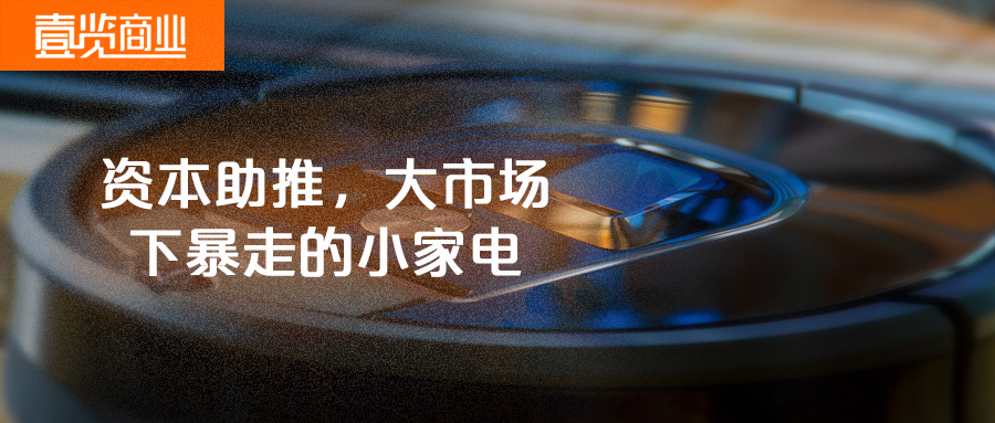 资本助推，大市场下暴走的小家电