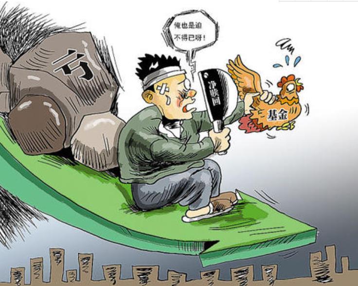 跌妈不认！好慌！定投要不要停一停？