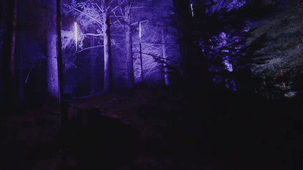 国外经典案例:有主题的夜游才具有真正的吸引力