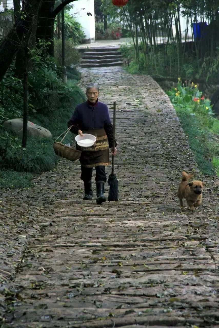 隐居 上泗安乡宿（图片来源：隐居公众号）