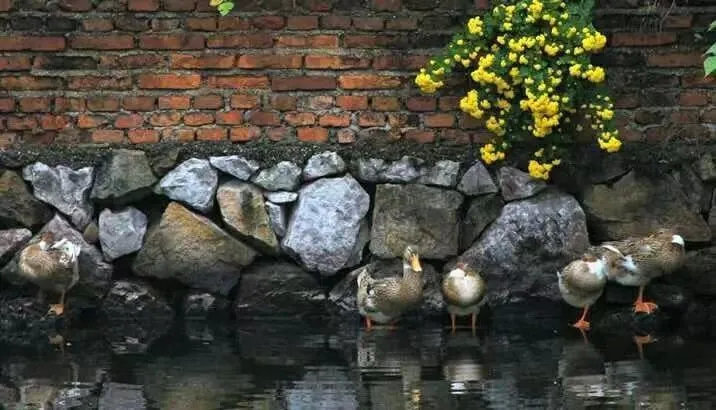 隐居 上泗安乡宿（图片来源：隐居公众号）