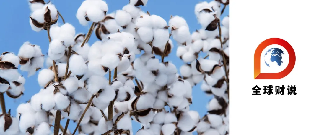 新疆棉花不怕碰瓷！国产替代概念崛起，美邦服饰等7只个股涨停