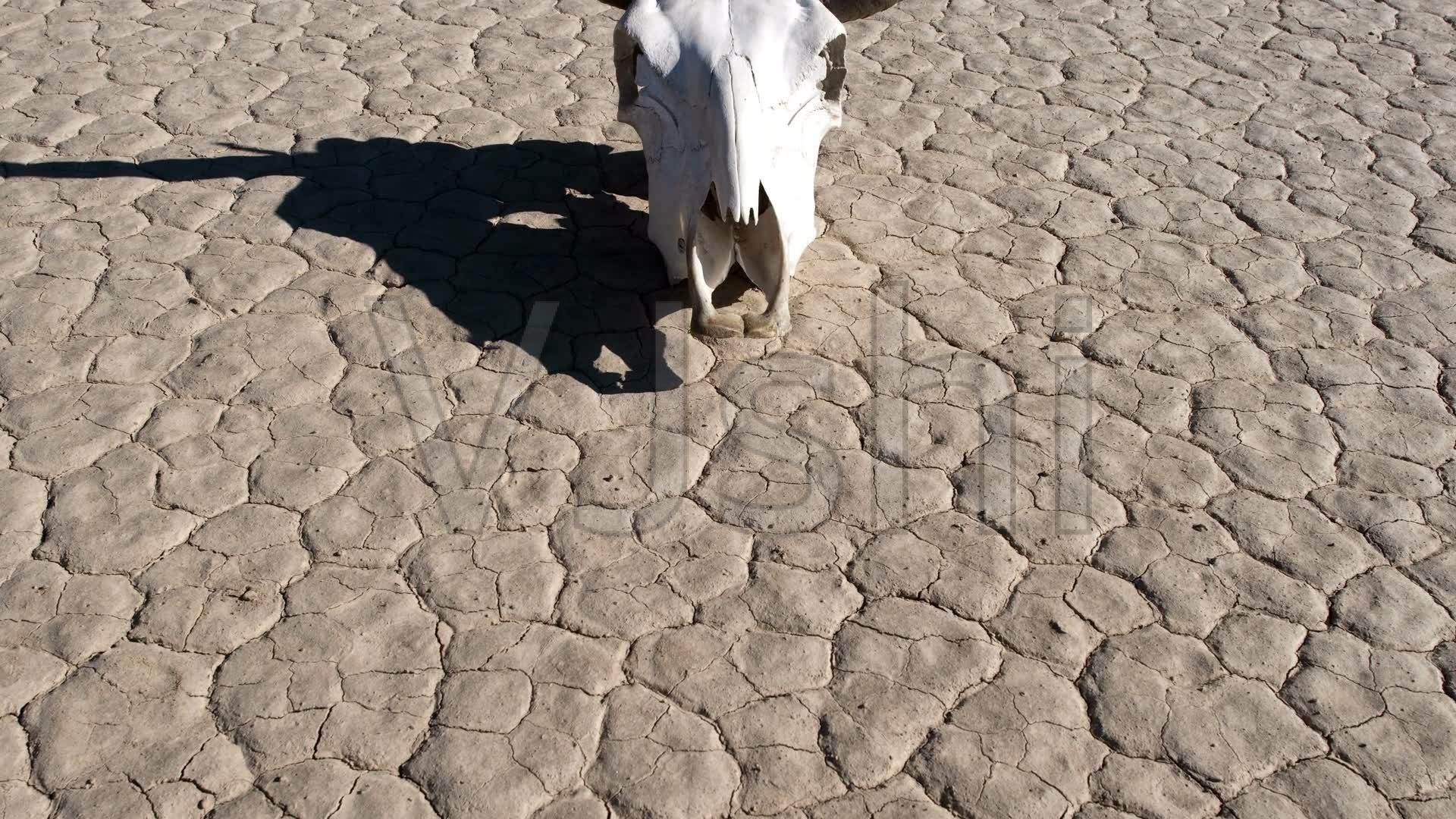 烧钱烧不破在线教育的“公地悲剧”