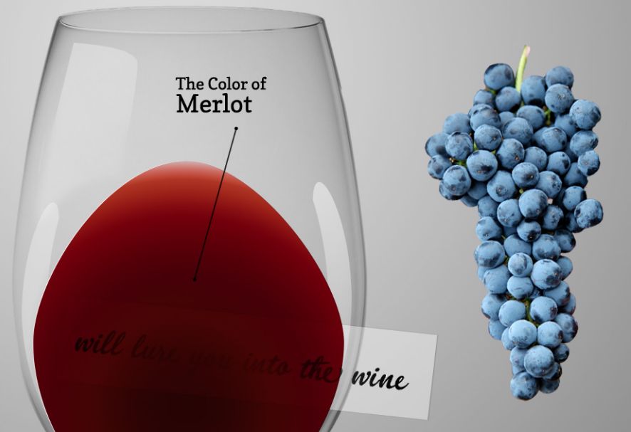 葡萄酒，是要看葡萄品种的