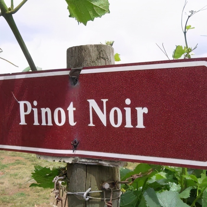 葡萄酒，是要看葡萄品种的