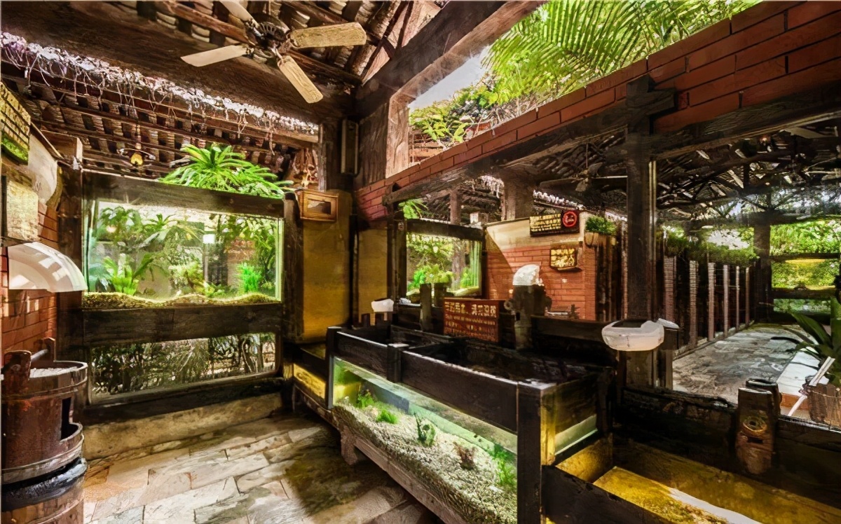 透明厕所，你敢上吗？