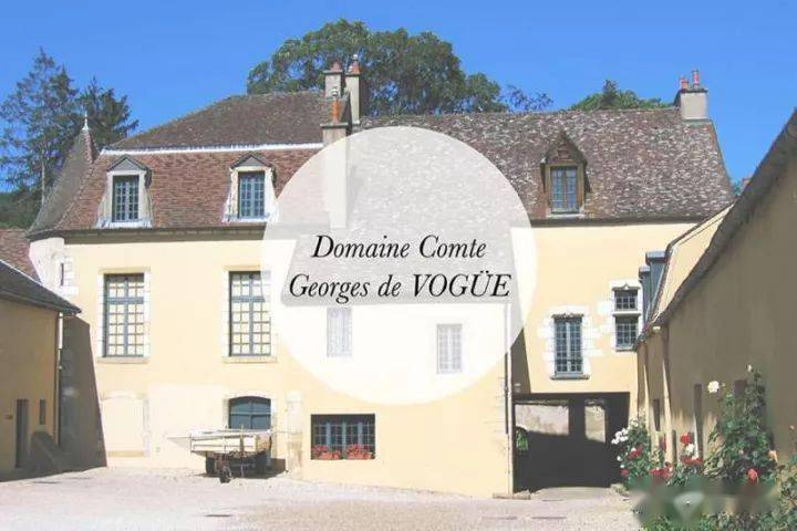 可惜，波尔多盖住了勃艮第的光芒