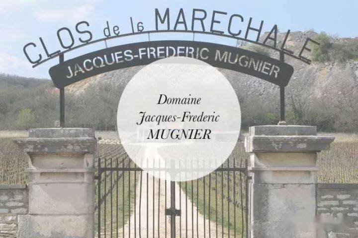 可惜，波尔多盖住了勃艮第的光芒