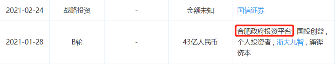 新知达人, 新能源汽车第二梯队：前景光明还是夹缝中生存？