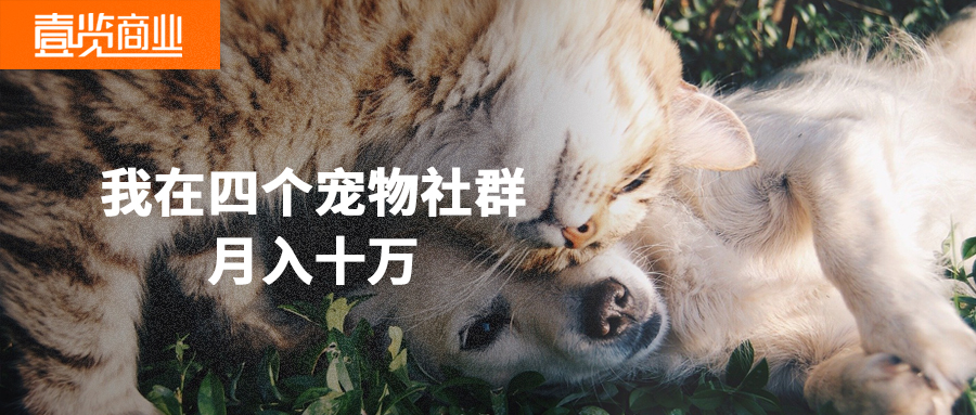 我在4个宠物社群月入10万