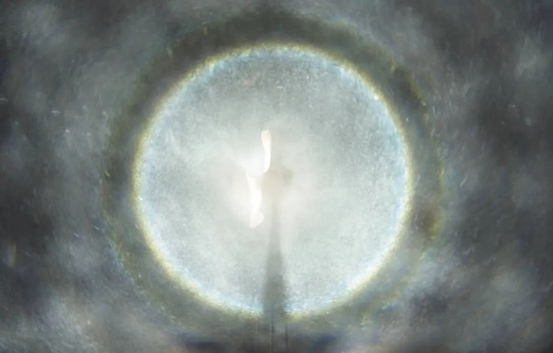 澡堂子玩沉浸式体验，快要洗不起澡了的节奏啊