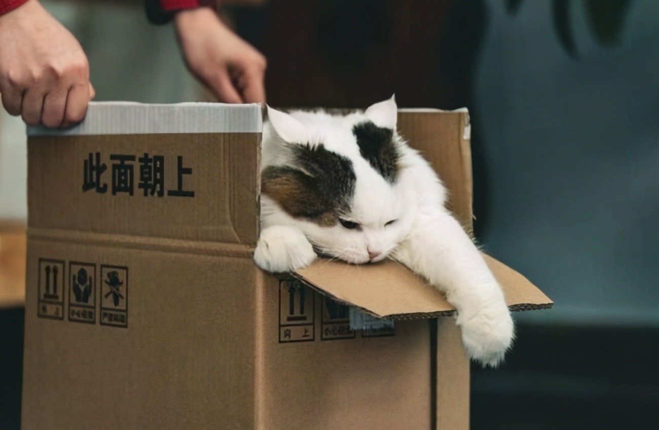 好模式被“玩坏”？是时候给盲盒营销泼一盆冷水了