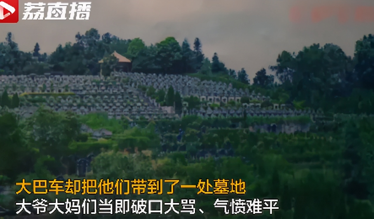 谁该为被“污名化”的导游群体负责？