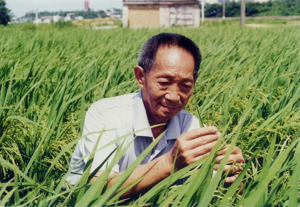 最关心我们吃饱饭的老人,一路走好