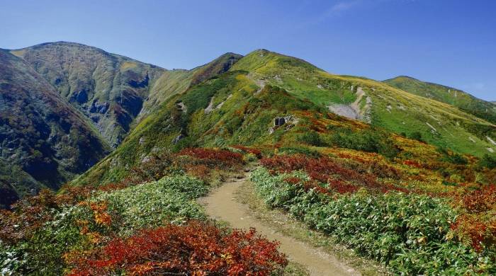 点击进入看图评论