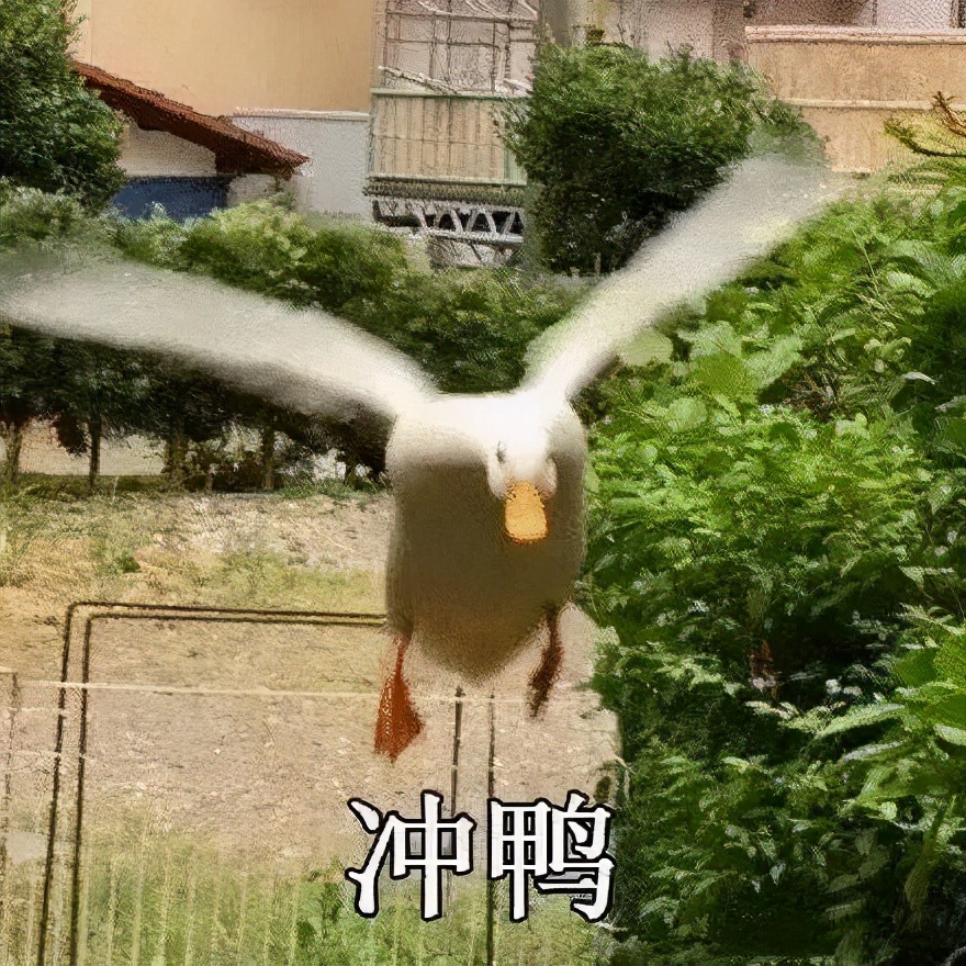 意外险续保，不是点两下那么简单