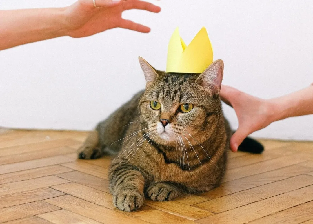 华熙生物：玻尿酸再努力，也不会成为“万金油”