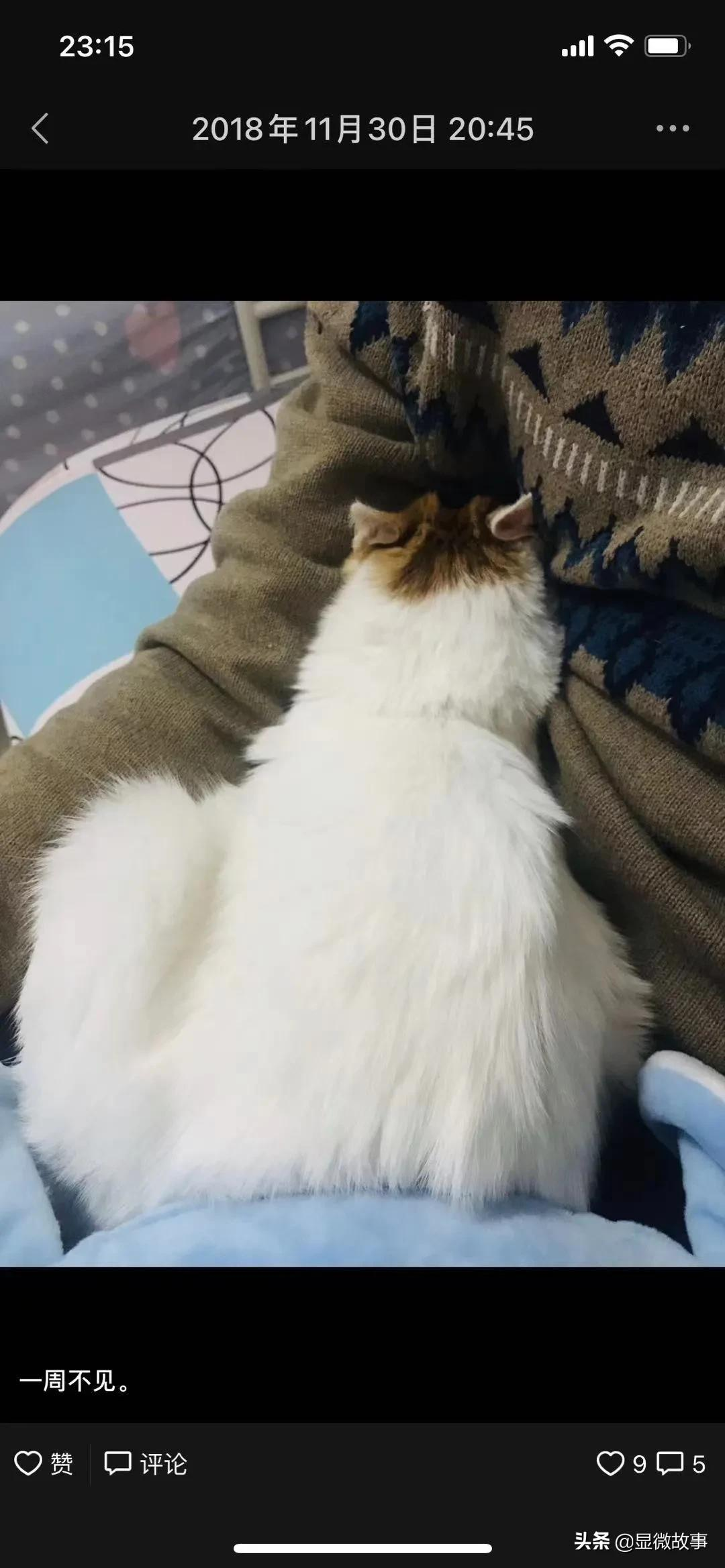 一线城市夫妻“双城记”：带板凳上地铁，从江苏坐到江苏路站