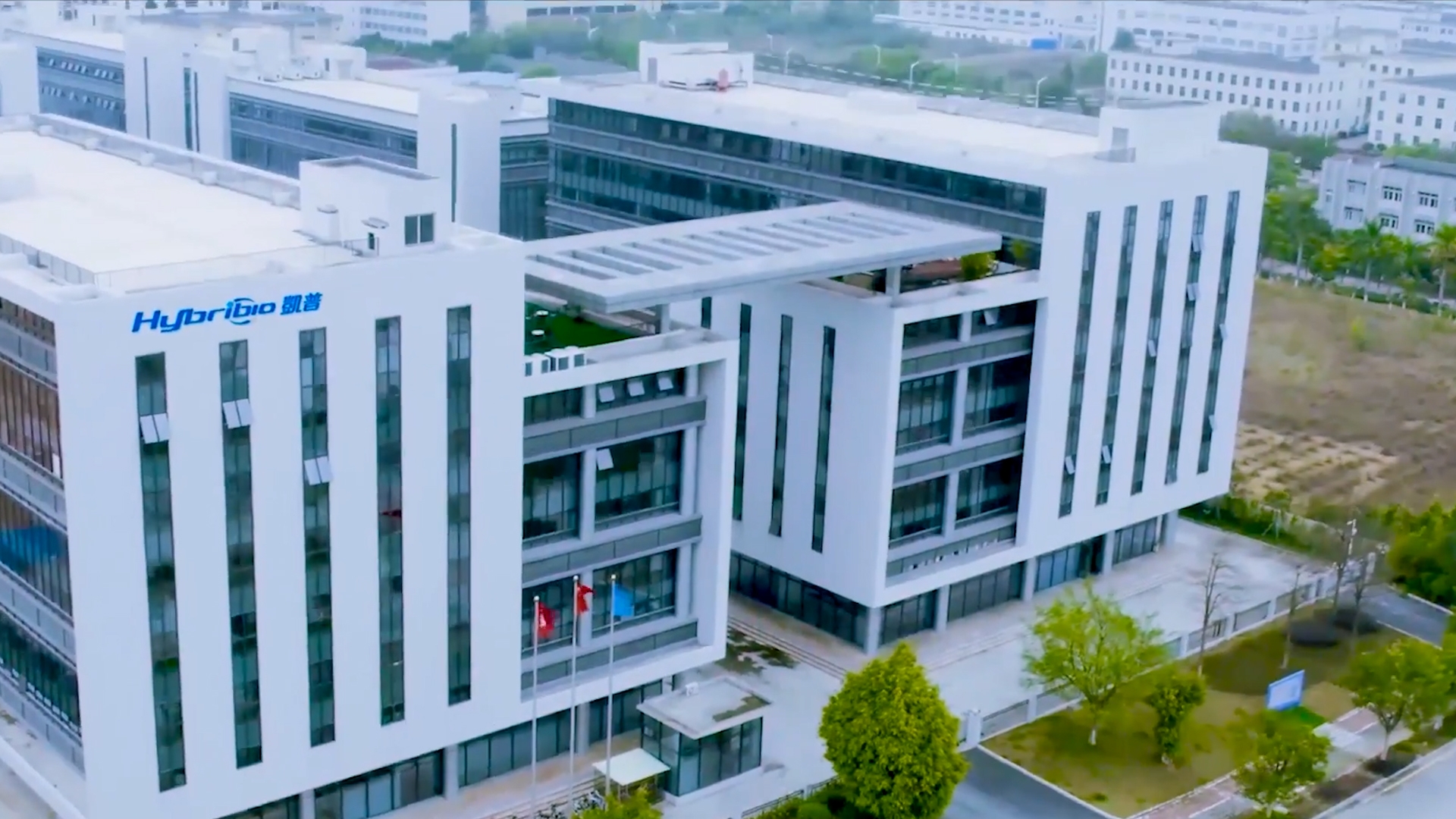 1625204785287093325.jpg 40.jpg