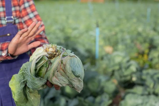 新知达人, 巨头进军社区团购后,团长却更焦虑了:被削权、难赚钱、没未来