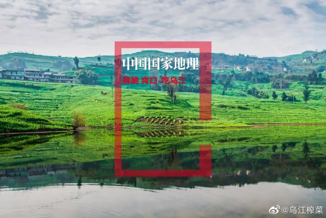 高级泡面和网红榨菜,原是我不配