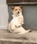 万能险的天也要变了