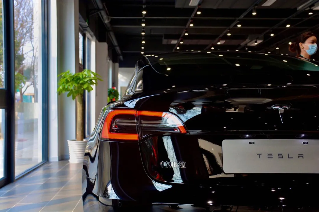 先发优势明显？中国新能源车如何实力领跑？