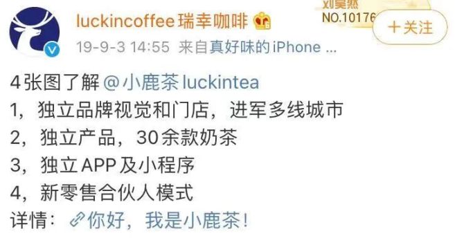 新知达人, 瑞幸咖啡活了，小鹿茶终成“弃子”