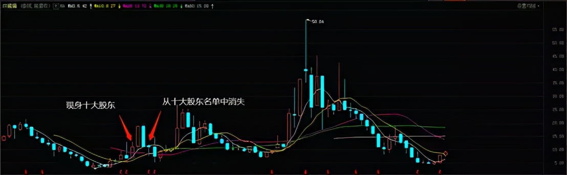 娱乐圈的“弃壳”，被公募大佬领了回来