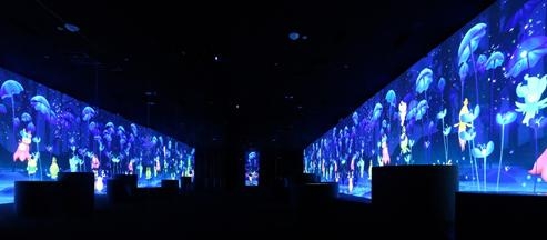 文章图片1