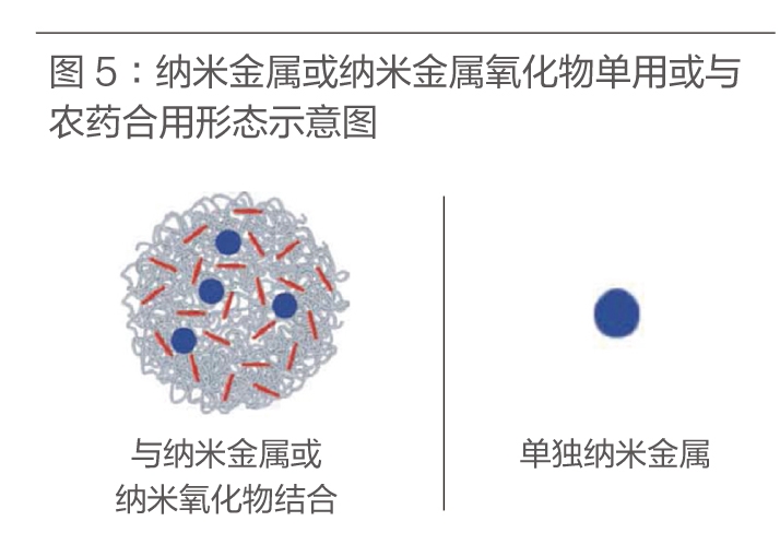 Q242P64-91善思生态科技低版本