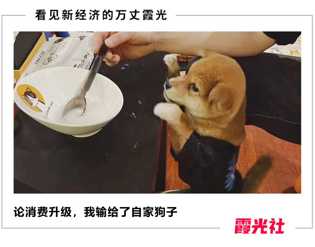 这届年轻人，养宠物比养自己用心