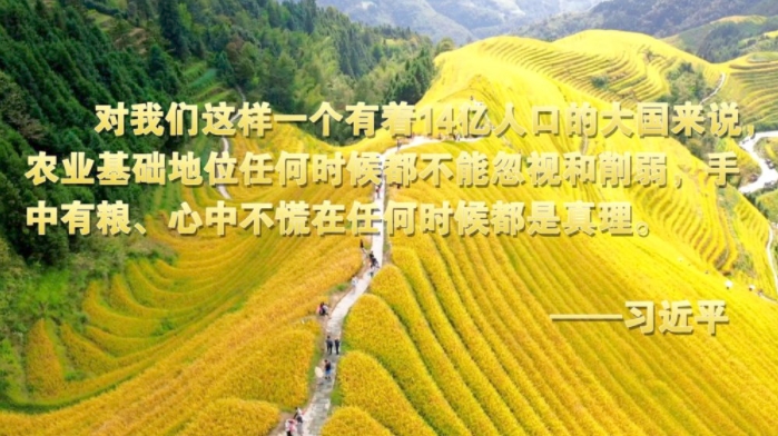 1634368533421916.png image.png