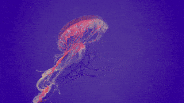 萌宠乐园、无动力、生态农庄……解析亲子乐园“吸金”术