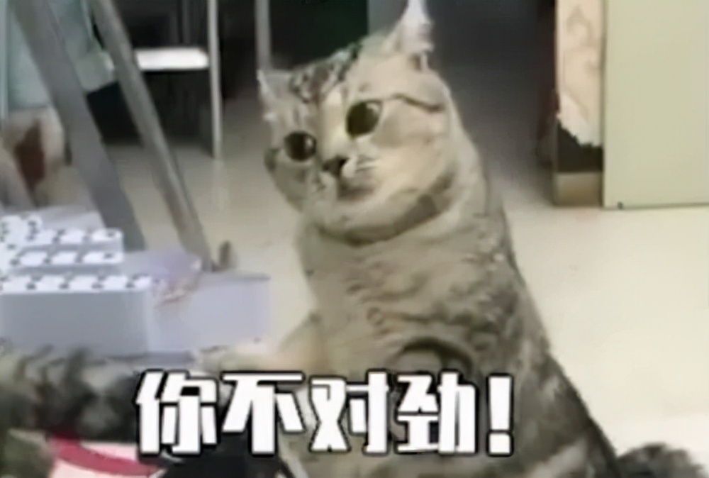 收入不够,保险拒赔?