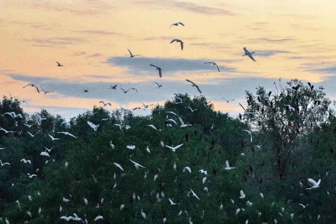 1640311017307086661.jpg 4.jpg