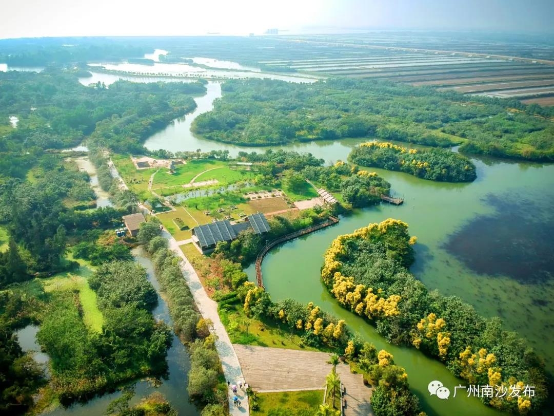 1640311002783005642.jpg 3.jpg