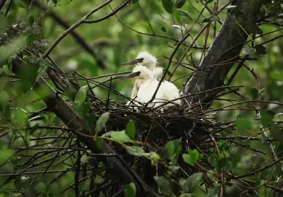 1640311029834039761.jpg 5.jpg