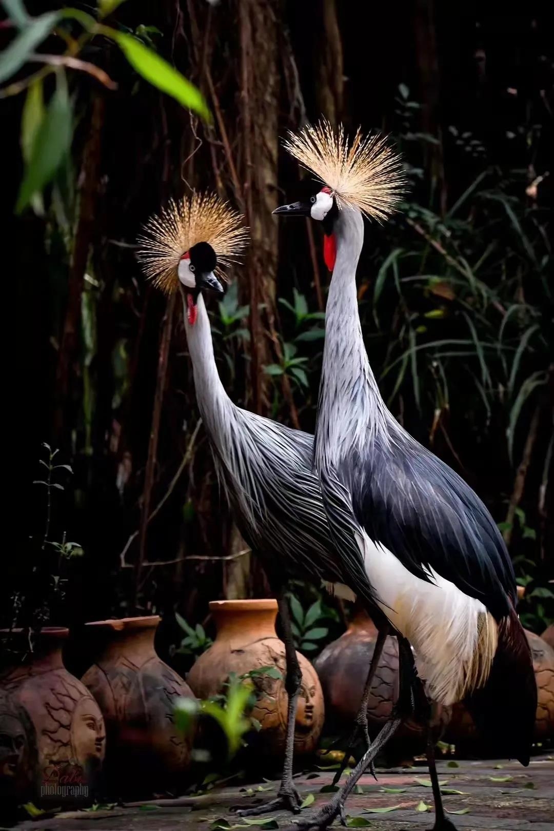 1640311094388089149.jpg 7.jpg