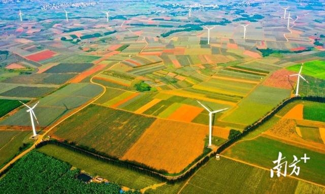 徐闻“菠萝的海”是风光、乡村度假、旅游新农村相结合的农业观光体验旅游区。湛江市委办供图