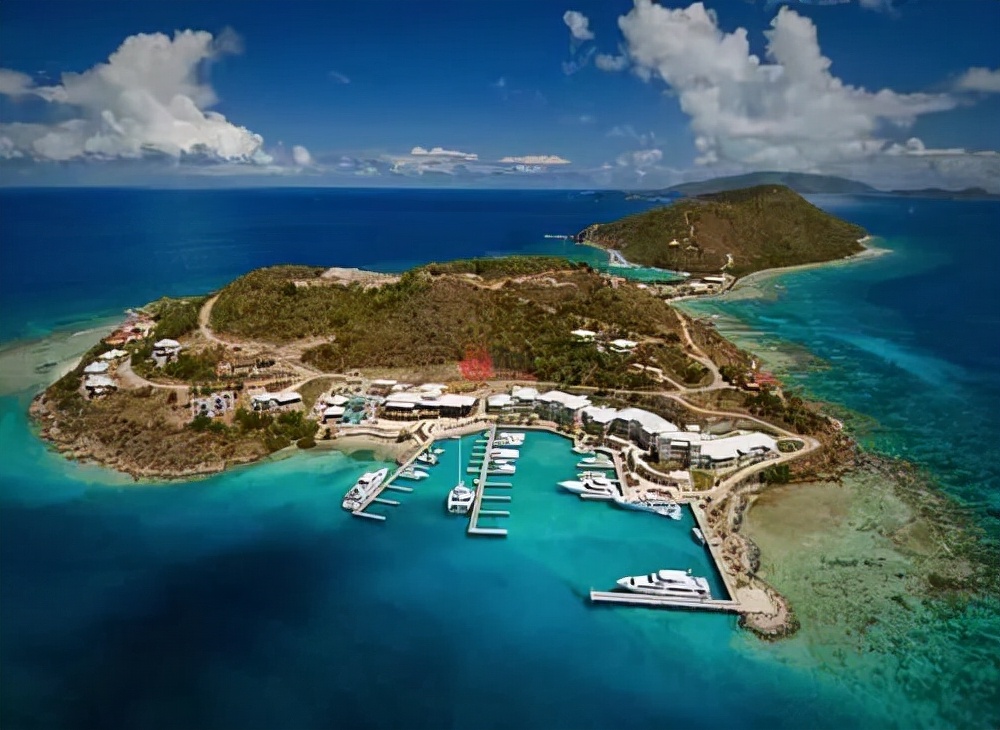 百亿“微商教母”，凉了