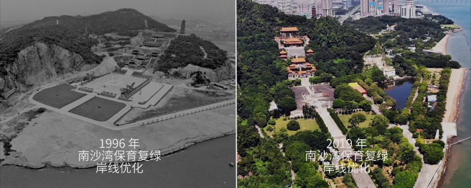 1643509119654084060.jpg 33.jpg