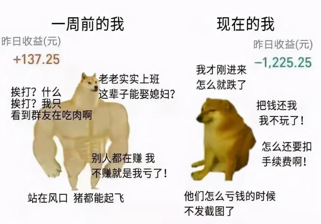 今晚，万人看极光！基金回调20%，爆款也没了！张坤发出撤退信号，该加仓还是减仓？