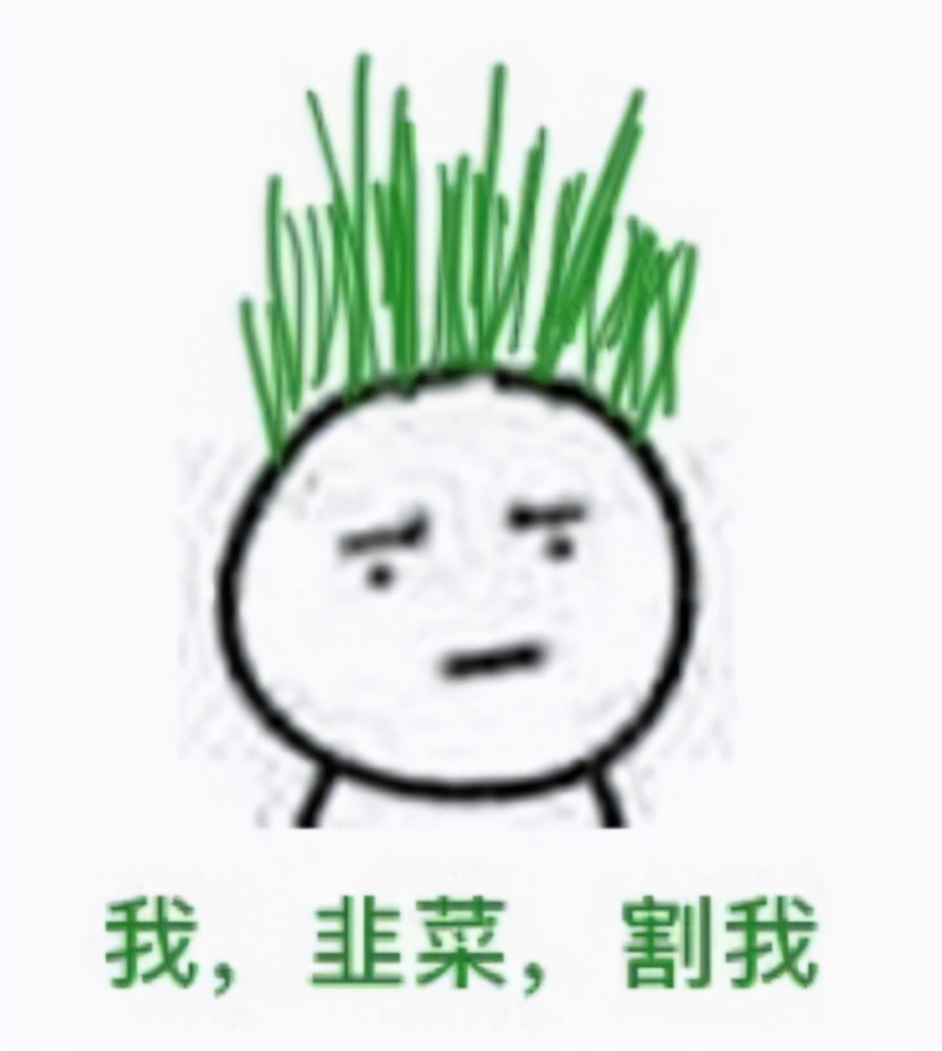 半导体YYDS？季度回报近40%！还能怒涨吗？诺安银河谁最强？看懂这篇就够了