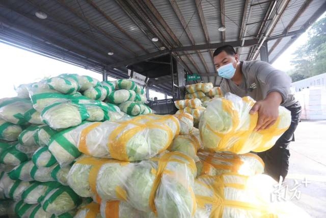 南方+ 朱洪波 拍摄