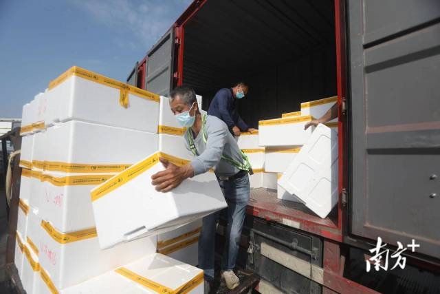 南方+ 朱洪波 拍摄