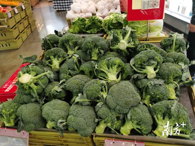 南方+ 朱洪波 拍摄